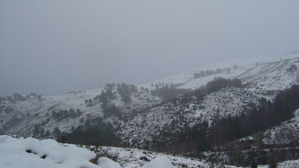 Mudar de país em 2026: como tirar o sonho do papel